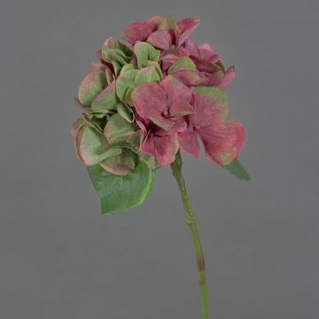 Hortensia synthétique CHIDORI, rouge-vert, 30cm, Ø13cm Hortensia synthétique CHIDORI, rouge-vert, 30cm, Ø13cm