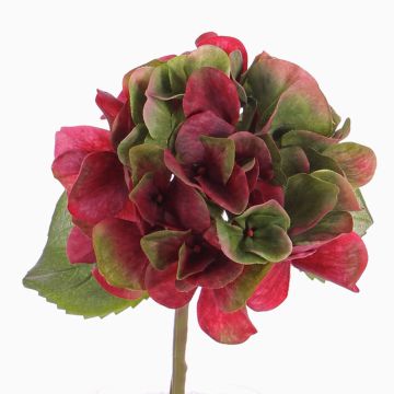 Hortensia synthétique CHIDORI, rouge-vert, 30cm, Ø13cm Hortensia synthétique CHIDORI, rouge-vert, 30cm, Ø13cm