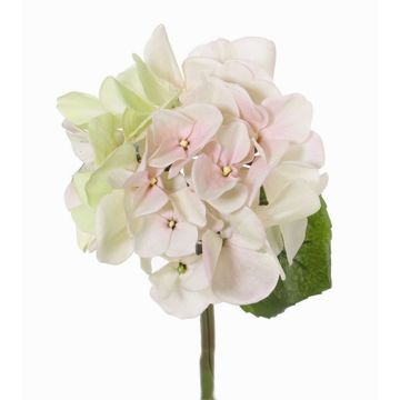 Hortensia synthétique CHIDORI, crème-rose, 30cm, Ø13cm Hortensia synthétique CHIDORI, crème-rose, 30cm, Ø13cm