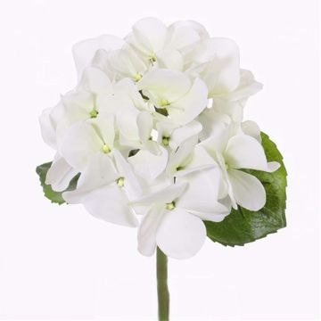 Hortensia synthétique CHIDORI, blanc-vert, 30cm, Ø13cm Hortensia synthétique CHIDORI, blanc-vert, 30cm, Ø13cm