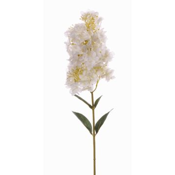 Hortensia artificiel LINYA, crème, 80cm, Ø11cm Hortensia artificiel LINYA, crème, 80cm, Ø11cm