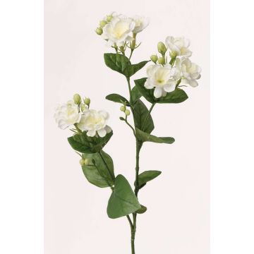 Tige de jasmin artificiel SINJA, blanc-vert, 60cm, Ø4cm Tige de jasmin artificiel SINJA, blanc-vert, 60cm, Ø4cm