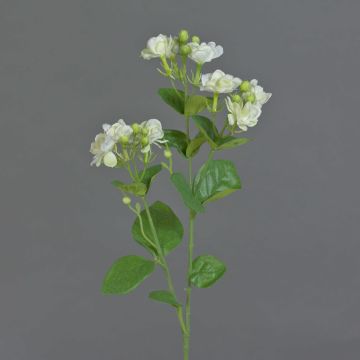 Tige de jasmin artificiel SINJA, blanc-vert, 60cm, Ø4cm