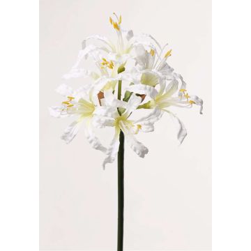 Fleur de nérine bowdenii artificielle MONJA, blanc, 70cm, Ø12cm