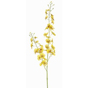 Tige d'orchidée Oncidium artificielle TALIAH, jaune, 85cm, Ø3-4cm Tige d'orchidée Oncidium artificielle TALIAH, jaune, 85cm, Ø3-4cm