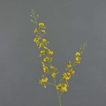 Tige d'orchidée Oncidium artificielle TALIAH, jaune, 85cm, Ø3-4cm Tige d'orchidée Oncidium artificielle TALIAH, jaune, 85cm, Ø3-4cm