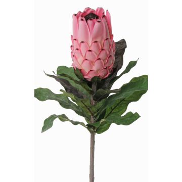 Protéa artificielle NELLI, rose, 75cm, Ø8cm Protéa artificielle NELLI, rose, 75cm, Ø8cm