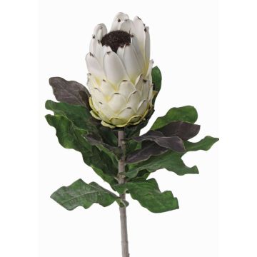 Protéa artificielle NELLI, blanc-jaune, 75cm, Ø8cm Protéa artificielle NELLI, blanc-jaune, 75cm, Ø8cm