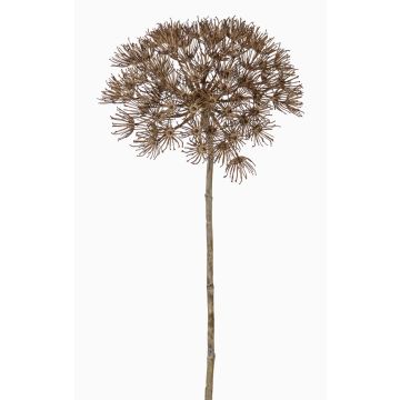 Berce artificielle ANSARI, brun, 80cm, Ø22cm Berce artificielle ANSARI, brun, 80cm, Ø22cm