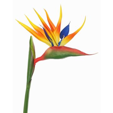 Strelitzia artificiel LATIFA, orange-violet, 80cm, 17x20cm Strelitzia artificiel LATIFA, orange-violet, 80cm, 17x20cm