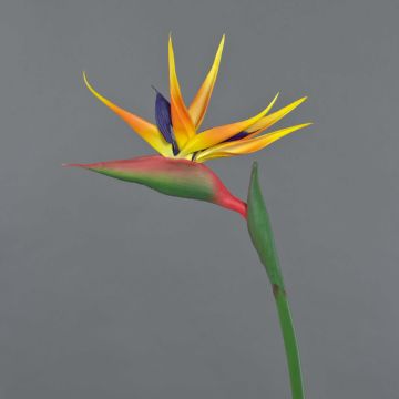 Strelitzia artificiel LATIFA, orange-violet, 80cm, 17x20cm