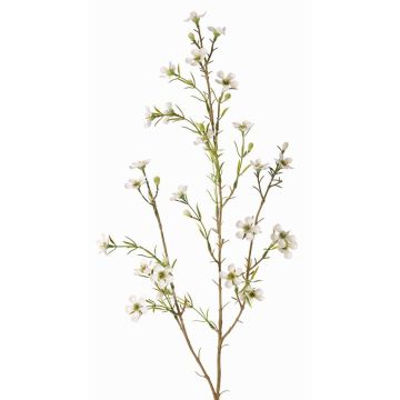 Hoya artificiel NIANG, crème, 80cm, Ø1,5-2,5cm Hoya artificiel NIANG, crème, 80cm, Ø1,5-2,5cm