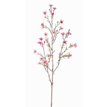 Hoya artificiel NIANG, rose-fuchsia, 80cm, Ø1,5-2,5cm Hoya artificiel NIANG, rose-fuchsia, 80cm, Ø1,5-2,5cm
