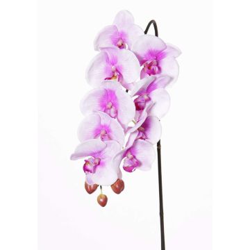 Tige d'orchidée Phalaenopsis artificielle ENISA, rose-blanc, 60cm, Ø7-8cm Tige d'orchidée Phalaenopsis artificielle ENISA, rose-blanc, 60cm, Ø7-8cm