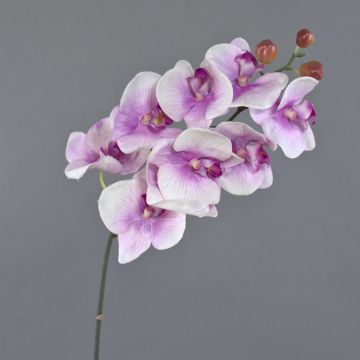 Tige d’orchidée Phalaenopsis artificielle ENISA, rose-blanc, 45cm, Ø7cm
