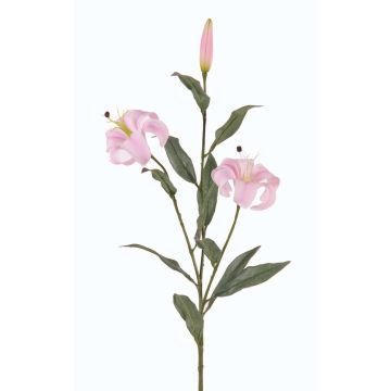 Lys tigré artificiel DANBI, rose clair, 85cm, Ø9cm Lys tigré artificiel DANBI, rose clair, 85cm, Ø9cm