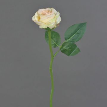 Rose artificielle GABI, crème-rose, 25cm, Ø5cm Rose artificielle GABI, crème-rose, 25cm, Ø5cm
