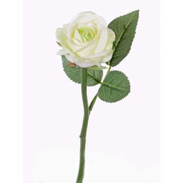 Rose artificielle GABI, crème-vert, 30cm, Ø6cm Rose artificielle GABI, crème-vert, 30cm, Ø6cm