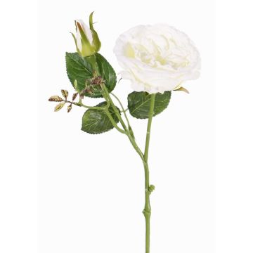 Rose en soie JUDY, crème, 40cm, Ø9cm Rose en soie JUDY, crème, 40cm, Ø9cm