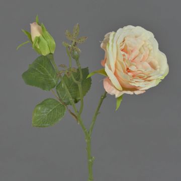 Rose en soie JUDY, saumon, 35cm, Ø8cm Rose en soie JUDY, saumon, 35cm, Ø8cm