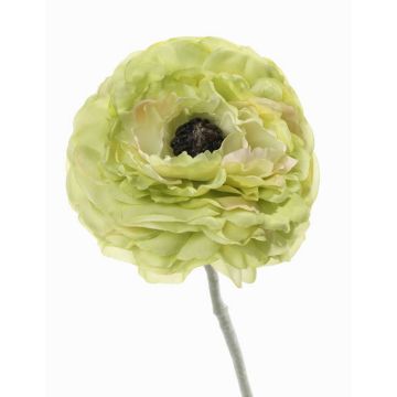 Renoncule artificielle ALIMA, vert, 35cm, Ø8cm