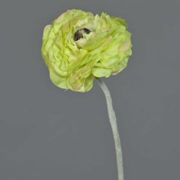 Renoncule artificielle ALIMA, vert, 35cm, Ø8cm