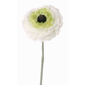 Renoncule artificielle ALIMA, crème-vert, 35cm, Ø8cm