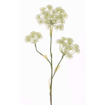 Berce du Caucase artificielle ABDEROS, crème, 105cm, Ø12-20cm Berce du Caucase artificielle ABDEROS, crème, 105cm, Ø12-20cm