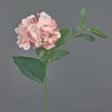 Hortensia artificiel ASUKA, rose, 80cm, Ø15cm Hortensia artificiel ASUKA, rose, 80cm, Ø15cm