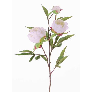 Tige de pivoine en soie MANJA, blanc, 70cm, Ø8-10cm Tige de pivoine en soie MANJA, blanc, 70cm, Ø8-10cm