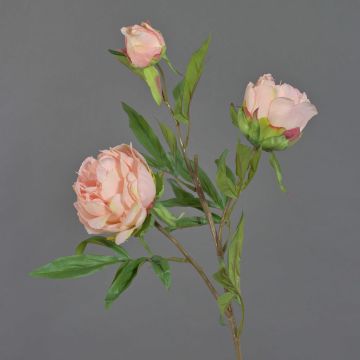 Tige de pivoine en soie MANJA, rose, 70cm, Ø8-10cm Tige de pivoine en soie MANJA, rose, 70cm, Ø8-10cm