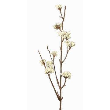 Branche de callicarpe artificielle LARINA, baies, crème, 50cm Branche de callicarpe artificielle LARINA, baies, crème, 50cm