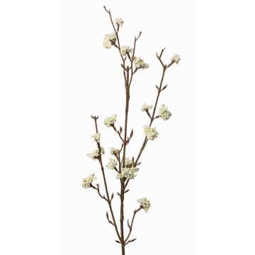 Branche de callicarpe artificielle LARINA, baies, crème, 70cm Branche de callicarpe artificielle LARINA, baies, crème, 70cm