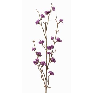 Branche de callicarpe artificielle LARINA, baies, violet, 70cm Branche de callicarpe artificielle LARINA, baies, violet, 70cm