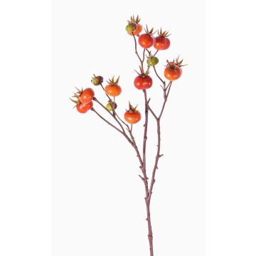 Branche de cynorhodon artificiel GERDA, avec fruits, orange, 65cm Branche de cynorhodon artificiel GERDA, avec fruits, orange, 65cm