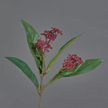 Tige de skimmia artificielle EBONY, avec fleurs, rouge, 35cm