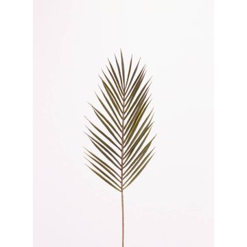 Feuille de palmier Areca artificielle ABIOLA, 70cm Feuille de palmier Areca artificielle ABIOLA, 70cm