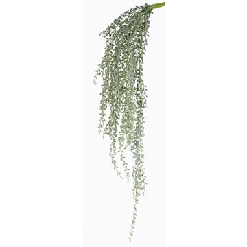 Chute de Senecio artificielle KANELO, piquet, vert-gris, 80cm Chute de Senecio artificielle KANELO, piquet, vert-gris, 80cm