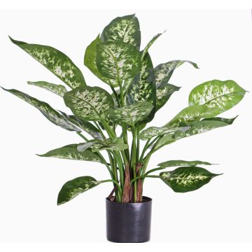 Dieffenbachia artificiel DILLA, vert-blanc, 50cm Dieffenbachia artificiel DILLA, vert-blanc, 50cm