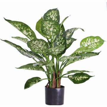 Dieffenbachia artificiel DILLA, vert-blanc, 50cm Dieffenbachia artificiel DILLA, vert-blanc, 50cm