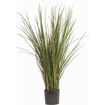 Faux Roseau DELSIN, crossdoor, vert-brun, 80cm