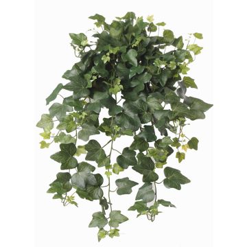 Buisson de faux lierre en chute TILL, piquet, traité anti UV, vert, 65cm