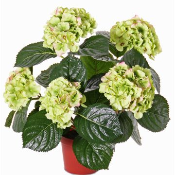 Faux Hortensia TEMARI, vert, 40cm, Ø10-12cm Faux Hortensia TEMARI, vert, 40cm, Ø10-12cm