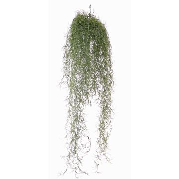 Tillandsia usneoides artificiel LITA, piquet, crossdoor, vert, 75cm Tillandsia usneoides artificiel LITA, piquet, crossdoor, vert, 75cm