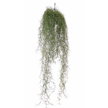 Tillandsia usneoides artificiel LITA, piquet, crossdoor, vert, 75cm