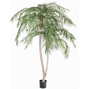 Palmier Phoenix synthétique PANCHALI, traité anti-uv, 225cm Palmier Phoenix synthétique PANCHALI, traité anti-uv, 225cm