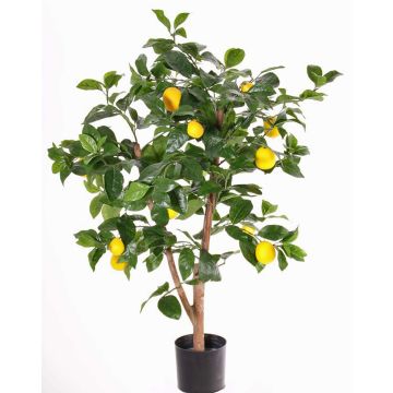 Faux citronnier ZYPRIAN, vrai tronc, fruits, vert, 85cm Faux citronnier ZYPRIAN, vrai tronc, fruits, vert, 85cm