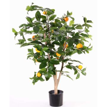 Faux oranger TERUKI, tronc naturel, avec fruits, vert, 85cm Faux oranger TERUKI, tronc naturel, avec fruits, vert, 85cm