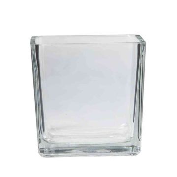 Pot de fleurs en verre KIM OCEAN, transparent, 14x14x14cm Pot de fleurs en verre KIM OCEAN, transparent, 14x14x14cm