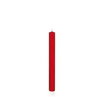 Bougie chandelier TARALEA, rouge, 25cm, Ø2,3cm, 14h - Made in Germany Bougie chandelier TARALEA, rouge, 25cm, Ø2,3cm, 14h - Made in Germany